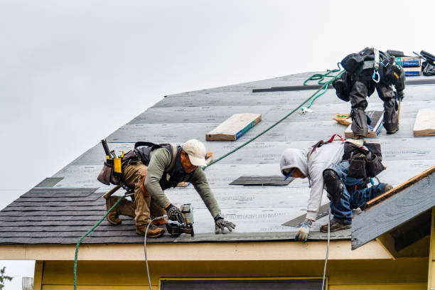 Professional Roofing technician working in Perry, MI